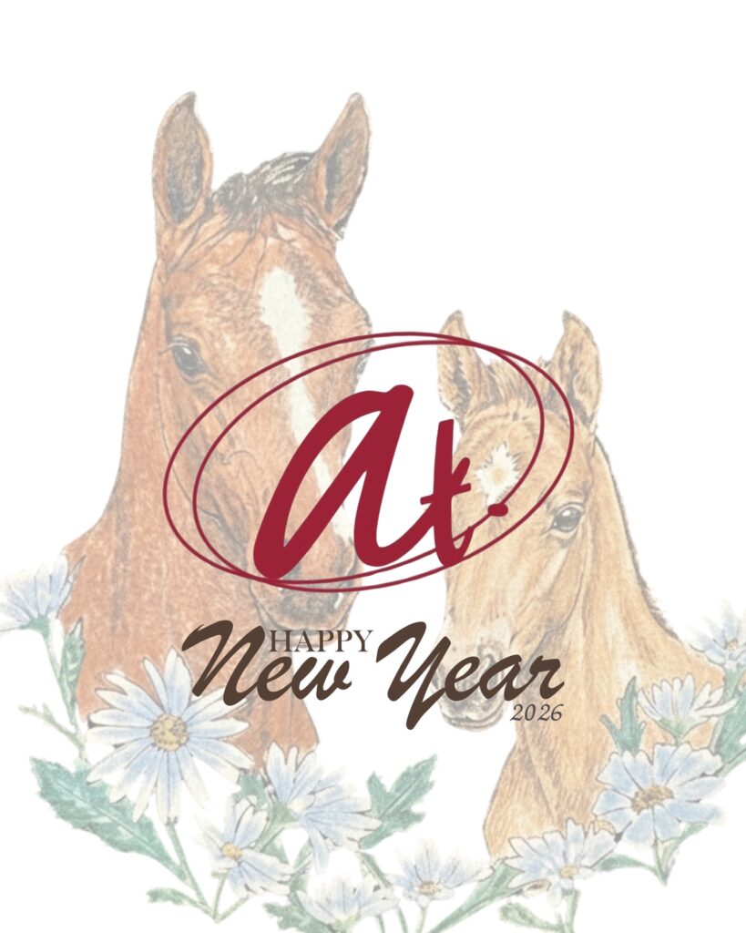 happy new year　ブログ記事　韓国語