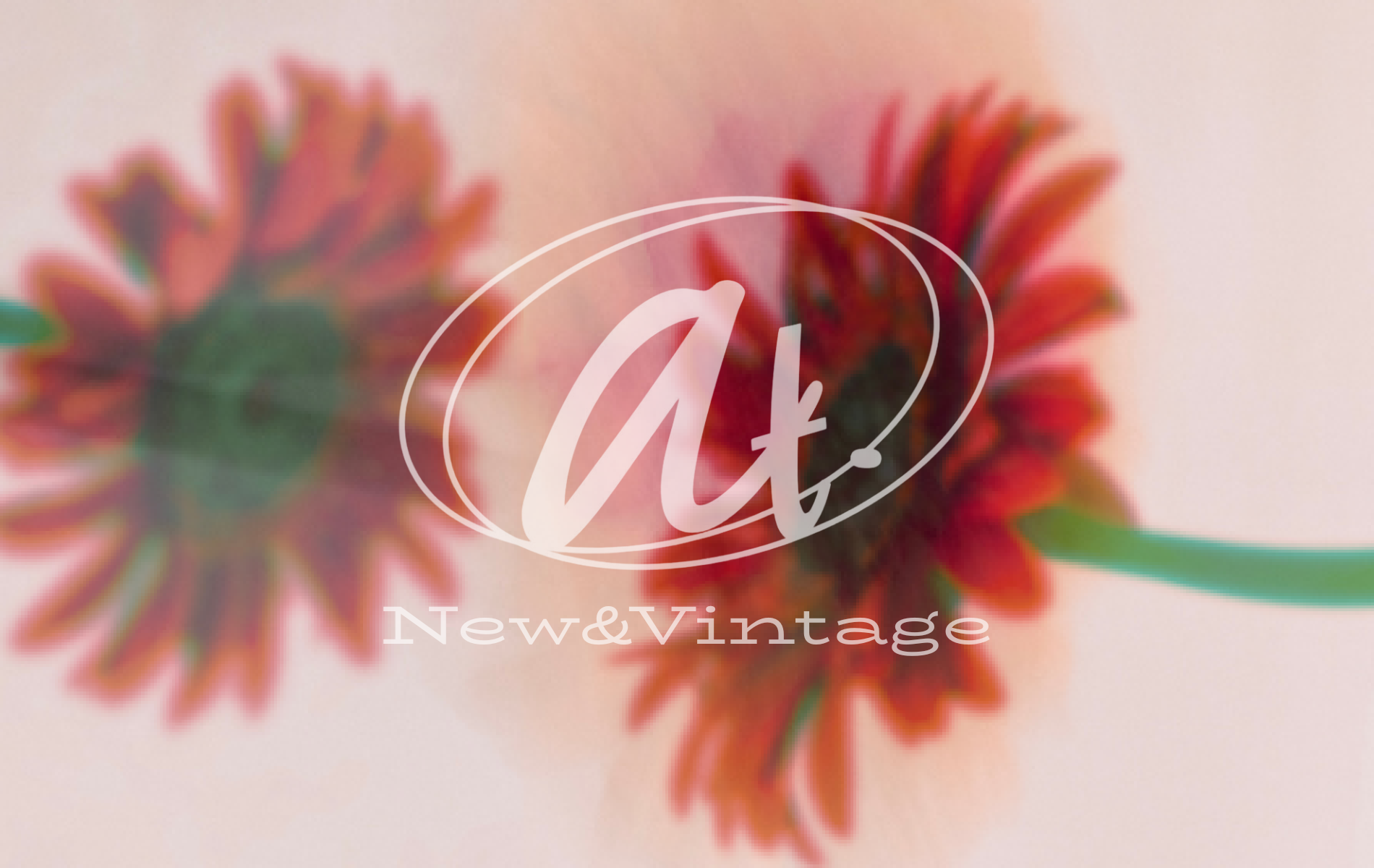 Y2K裏原スタイルのオンライン古着屋 @t. New&Vintage（アット ニューアンドヴィンテージ）Topページのメインビジュアル画像　ショップロゴ入り